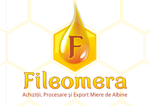 Fileomera - logo